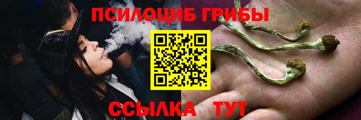 Псилоцибиновые грибы ЛСД  Вход с VPN  Серов  Галлюциногенные грибы Cubensis 